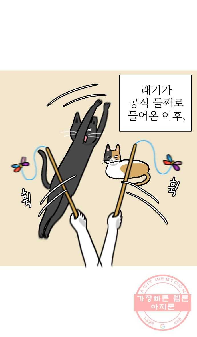 애옹식당 14화 근엄한 첫째가 될 거야 2
