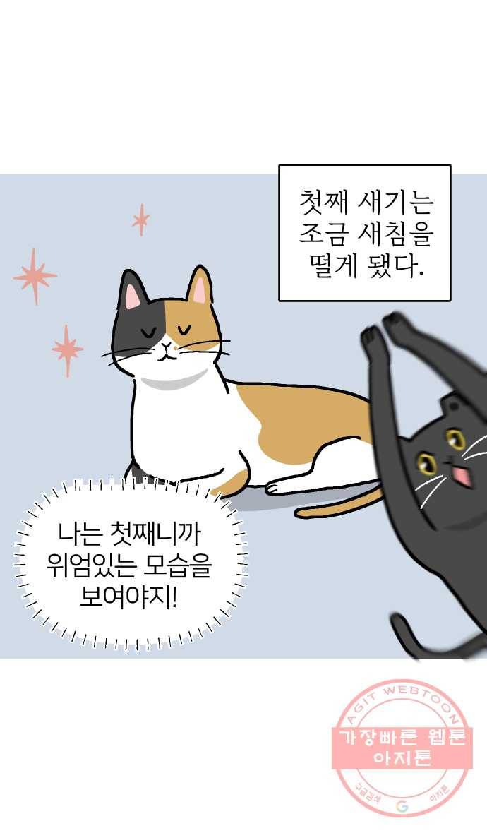 애옹식당 14화 근엄한 첫째가 될 거야 3