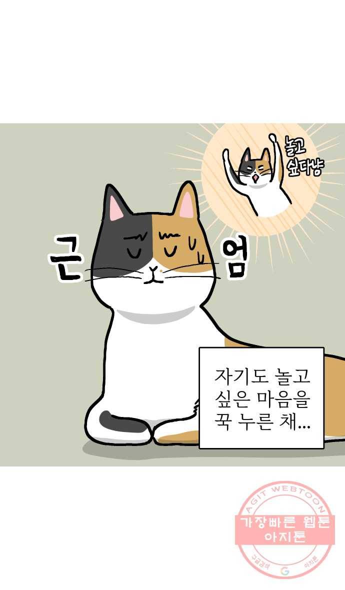 애옹식당 14화 근엄한 첫째가 될 거야 4