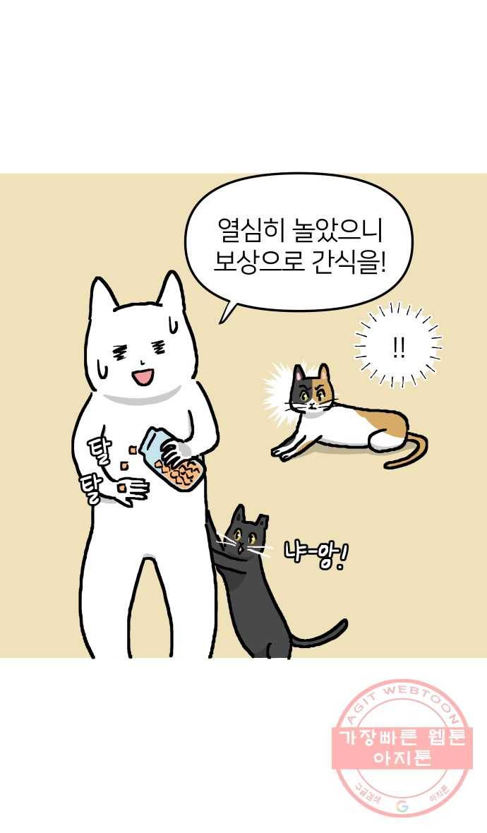 애옹식당 14화 근엄한 첫째가 될 거야 6