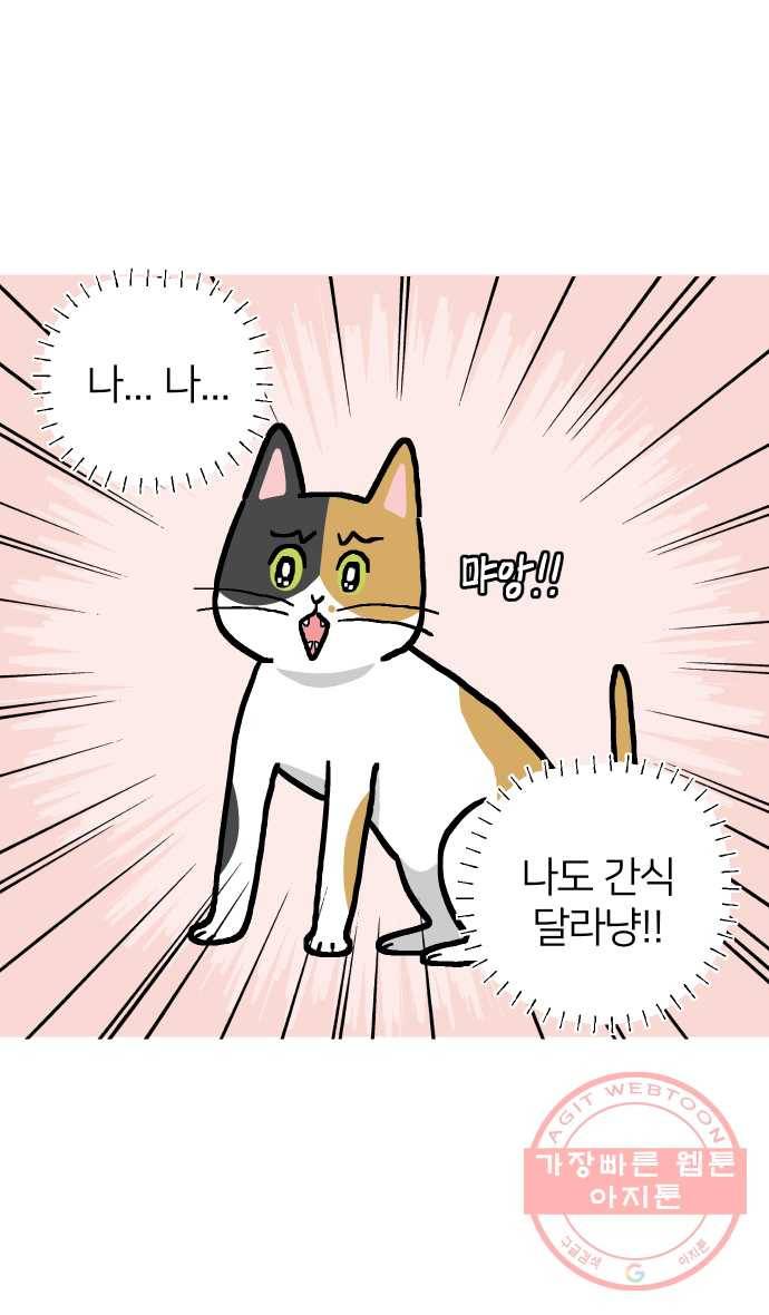 애옹식당 14화 근엄한 첫째가 될 거야 7