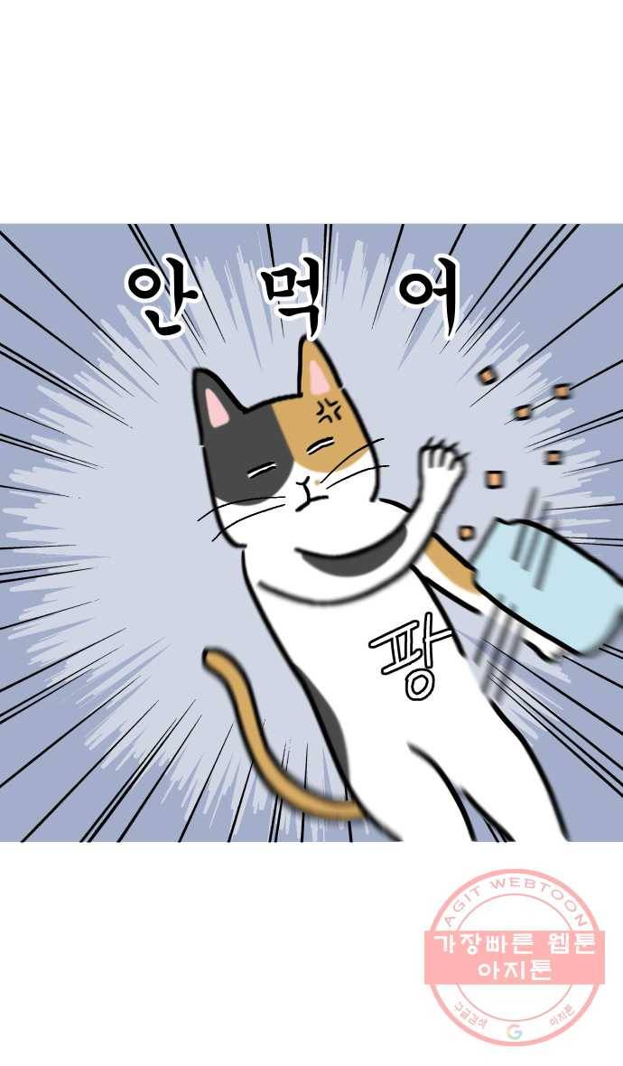 애옹식당 14화 근엄한 첫째가 될 거야 10