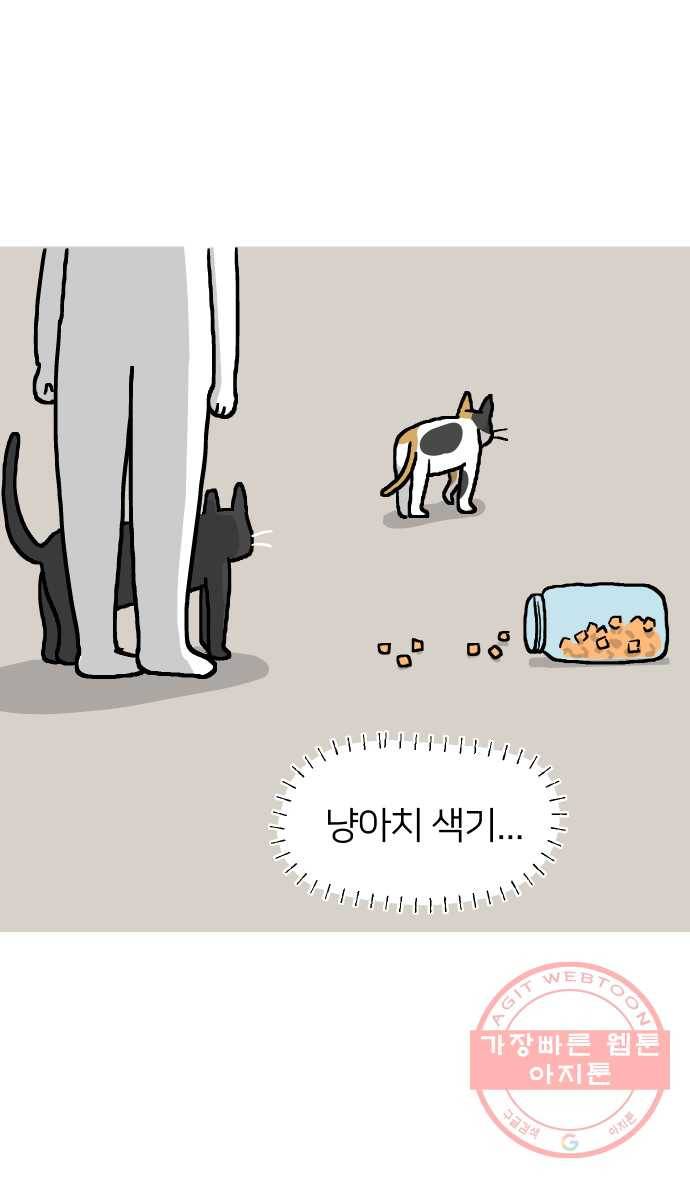애옹식당 14화 근엄한 첫째가 될 거야 11