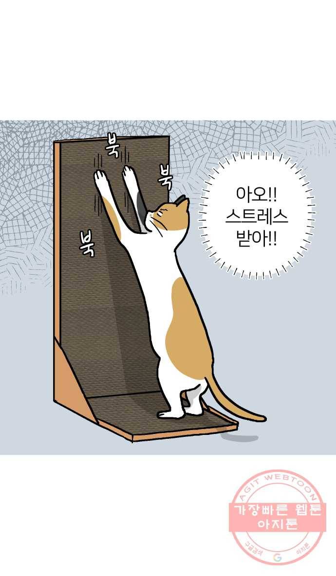 애옹식당 14화 근엄한 첫째가 될 거야 12