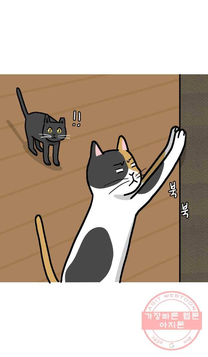 애옹식당 14화 근엄한 첫째가 될 거야 13