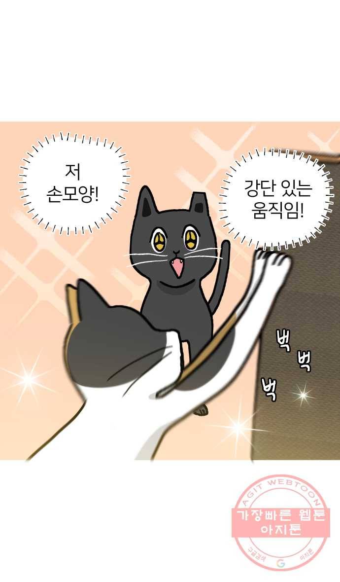 애옹식당 14화 근엄한 첫째가 될 거야 14