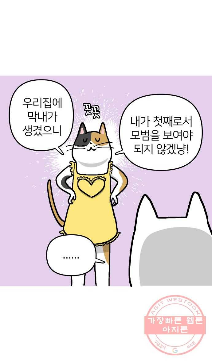애옹식당 14화 근엄한 첫째가 될 거야 33