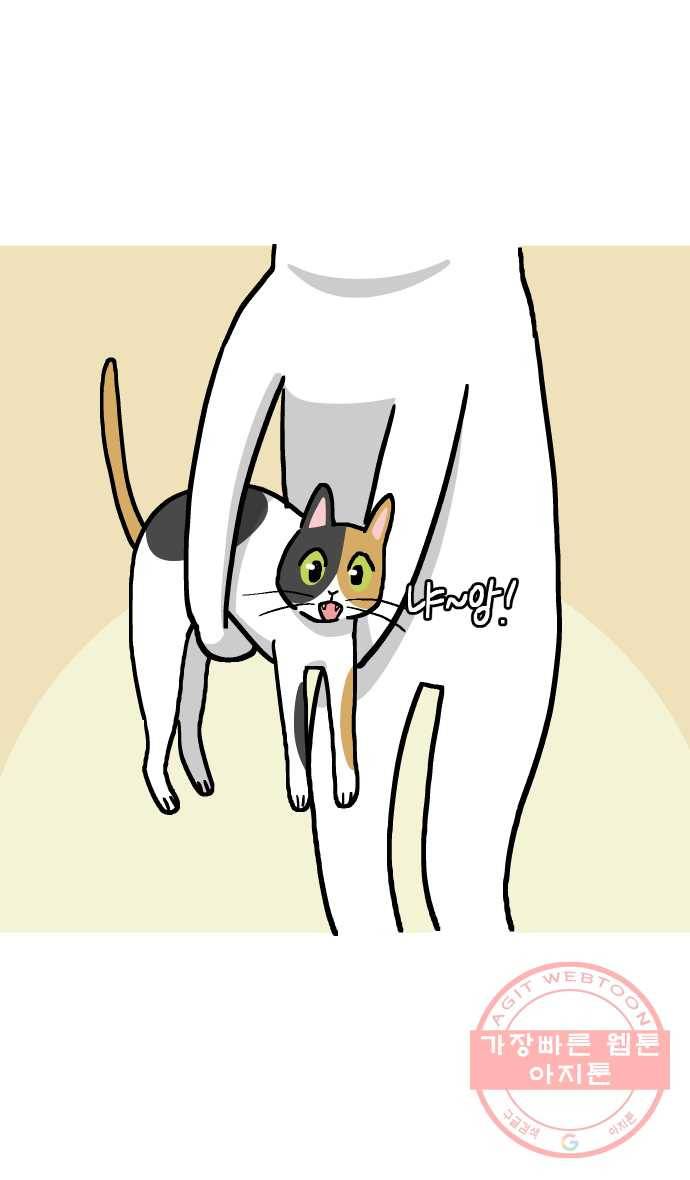애옹식당 14화 근엄한 첫째가 될 거야 40