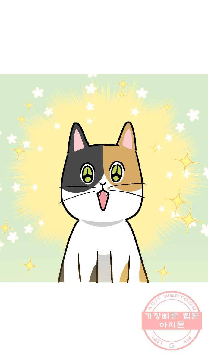 애옹식당 14화 근엄한 첫째가 될 거야 42