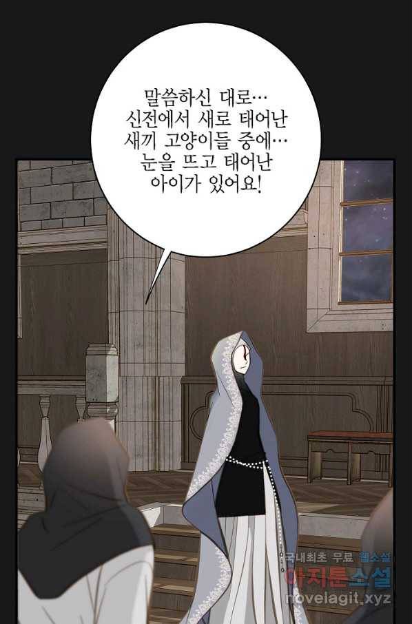생존결혼 72화 41