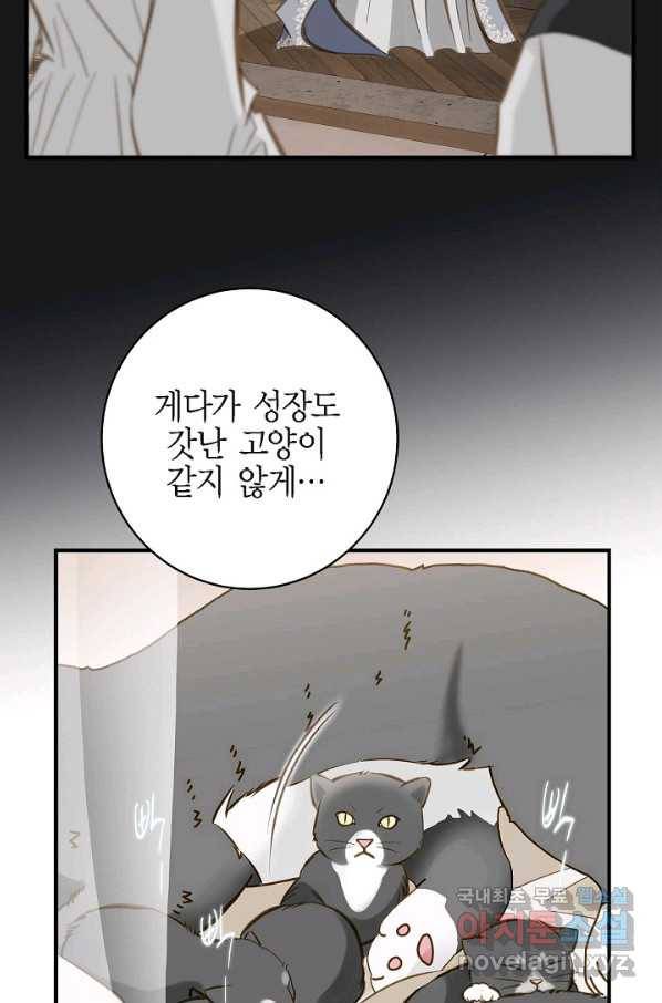 생존결혼 72화 42