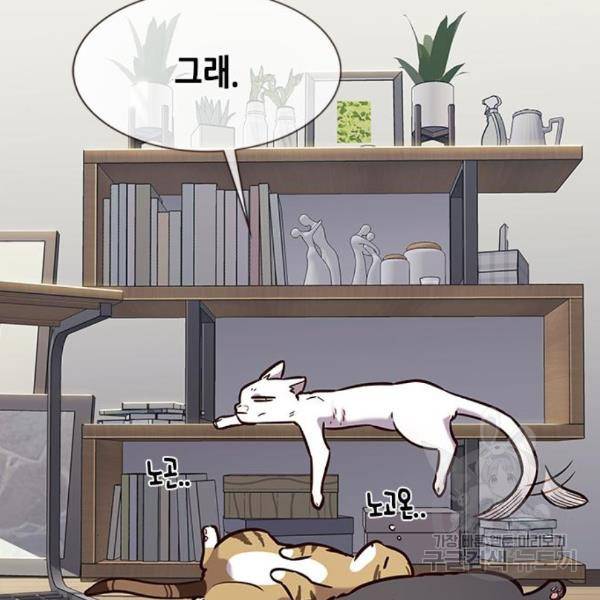 일렉시드 187화 4
