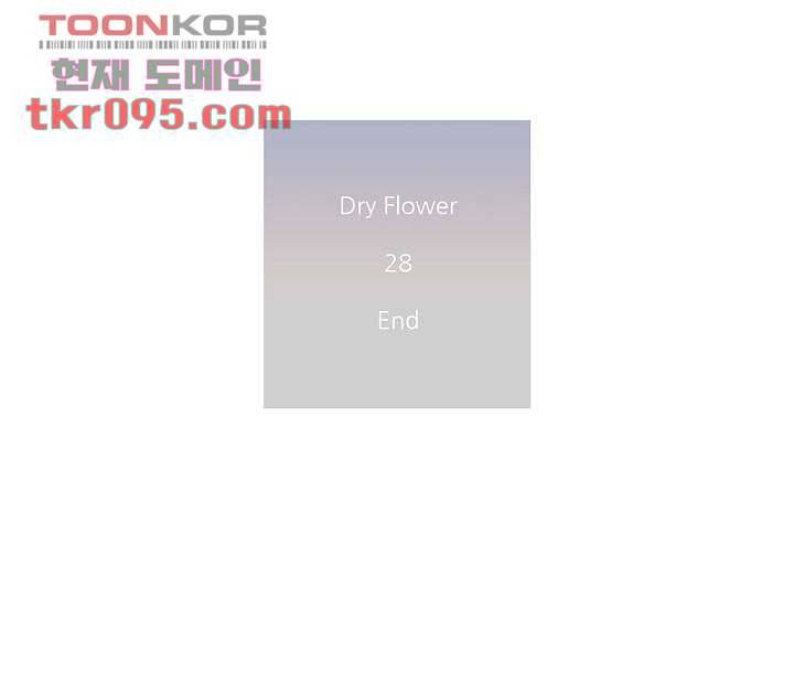 드라이 플라워 (Dry flower) 28화 42