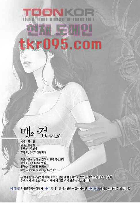 매의 검 26화 26