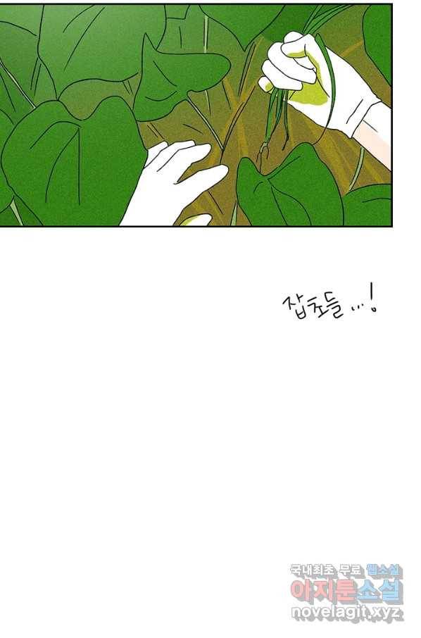 밀과 보리가 자란다 95화 11
