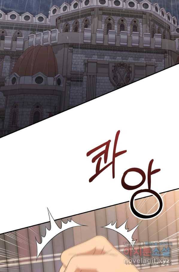 두 얼굴의 황녀 65화 13