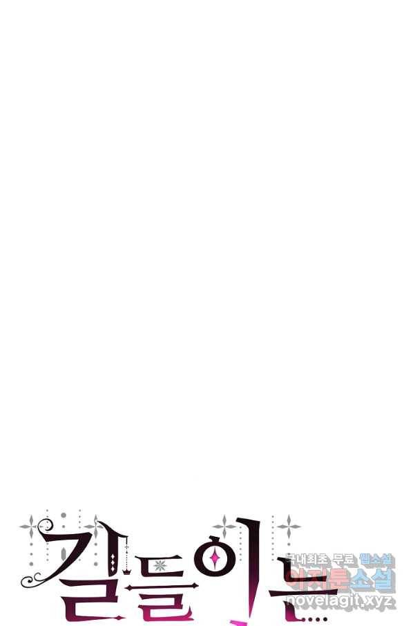 길들이는 공녀님 73화 13