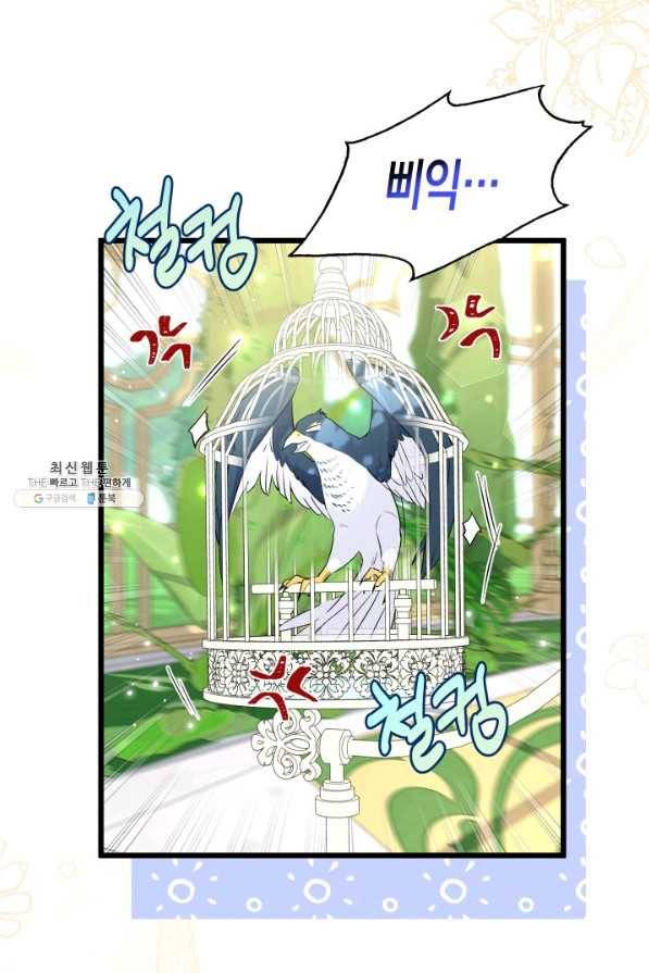 토끼와 흑표범의 공생관계 61화 3