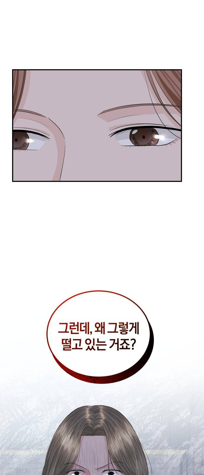 완벽한 결혼의 정석 47화 3