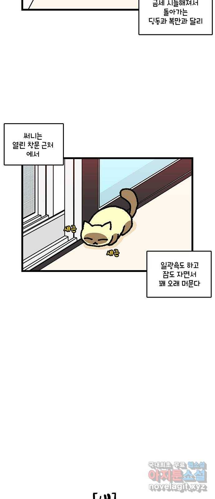 윌유메리미 시즌2 576화 딩동 써니 복만_4／4(지킴이) 4