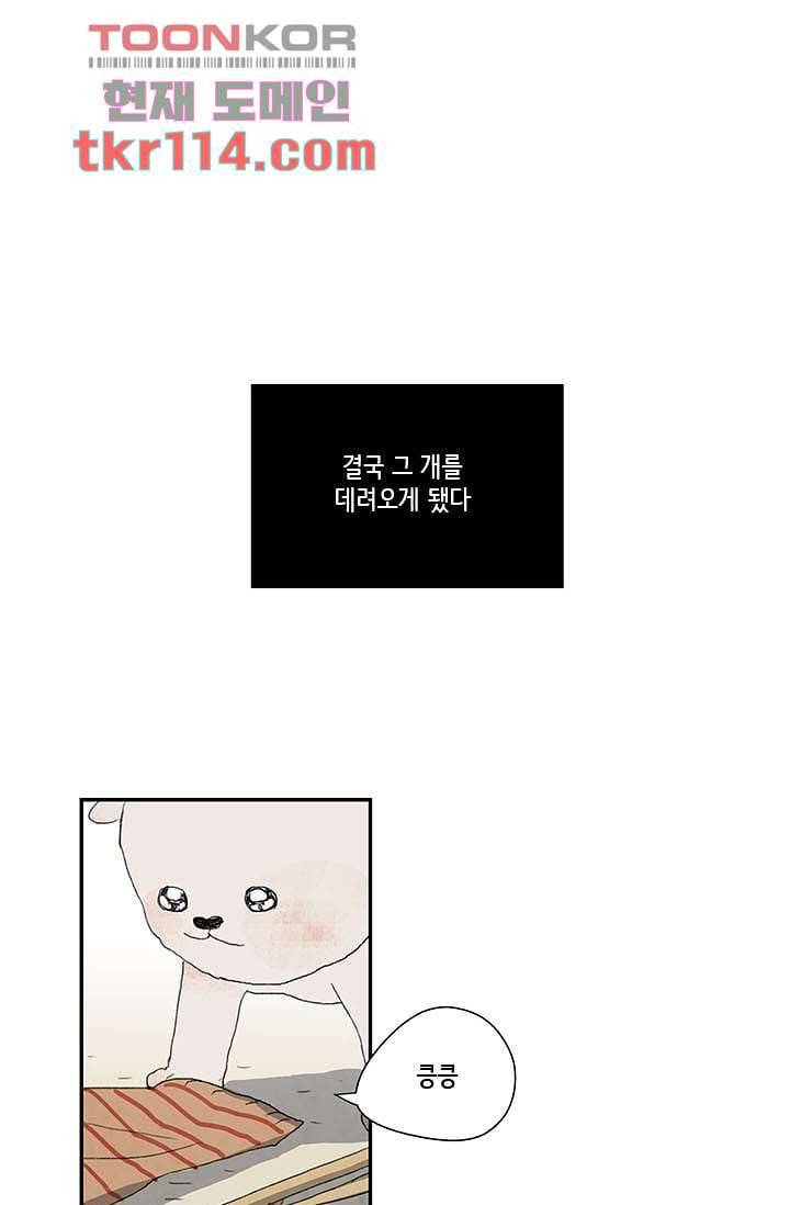 마이 러블리 투투 34화 1