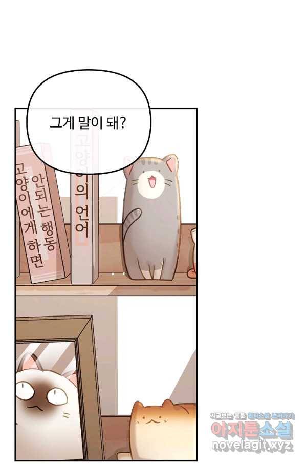 우리집 고양이는 베지테리언 35화 민태준에 대한 폭로 1