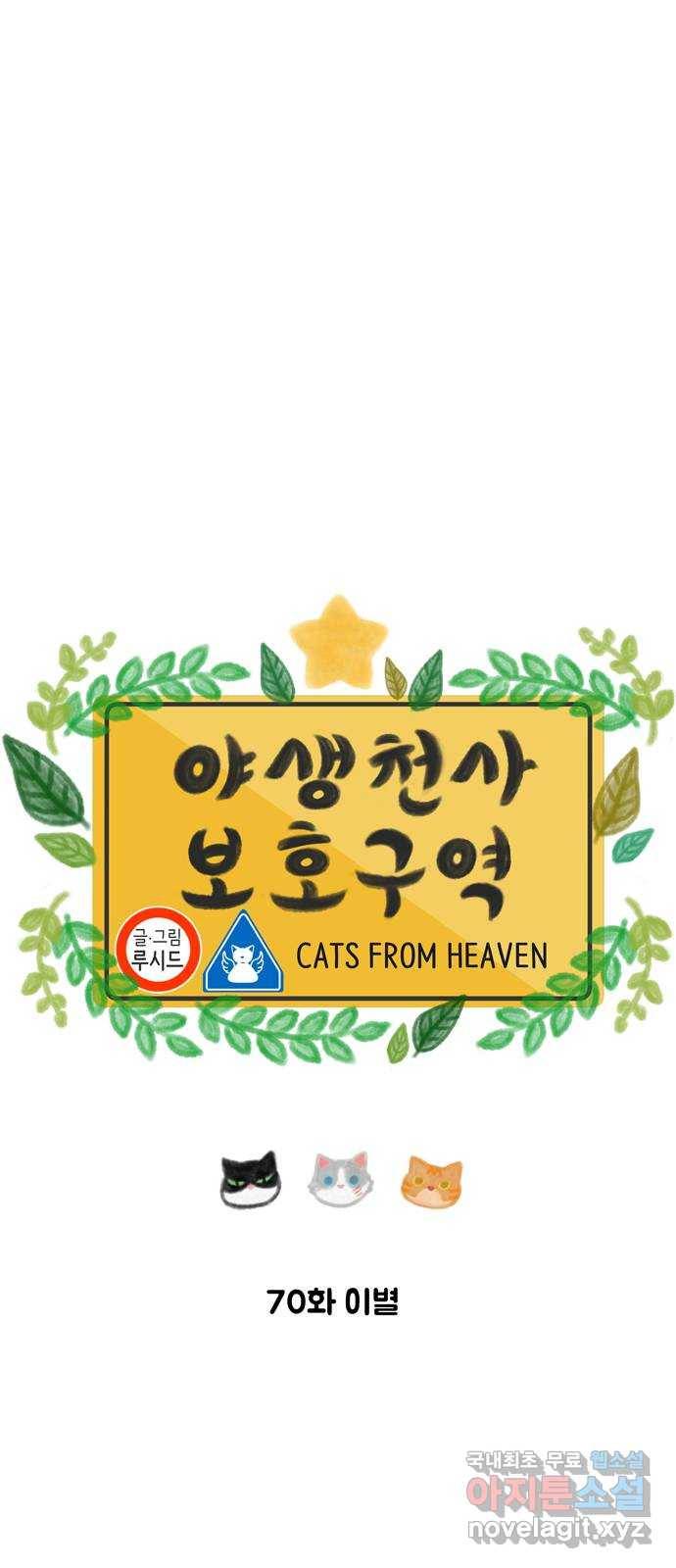 야생천사 보호구역 70화 이별 8