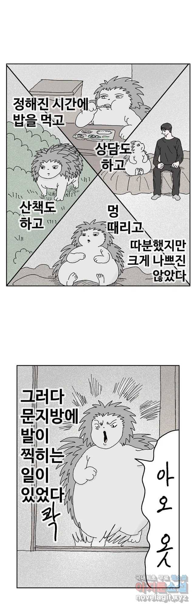 이상징후 51화 가시 사람(11) 11