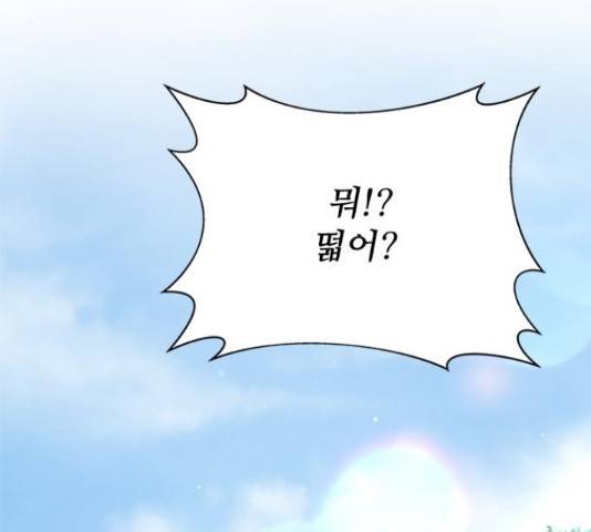해시의 신루 31화 38