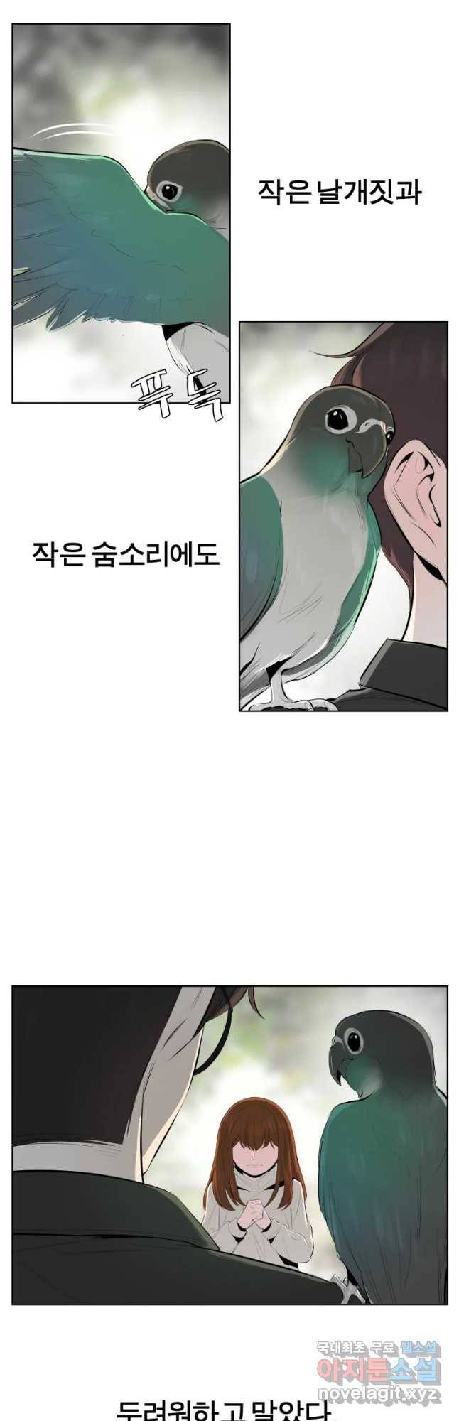 케어시트 41화 사육셋팅 2