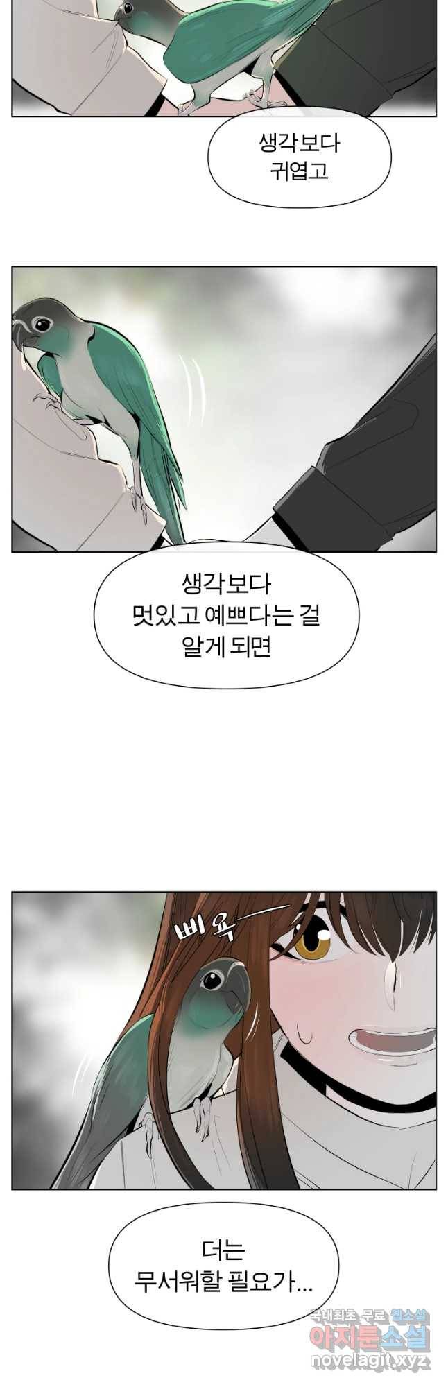 케어시트 41화 사육셋팅 6