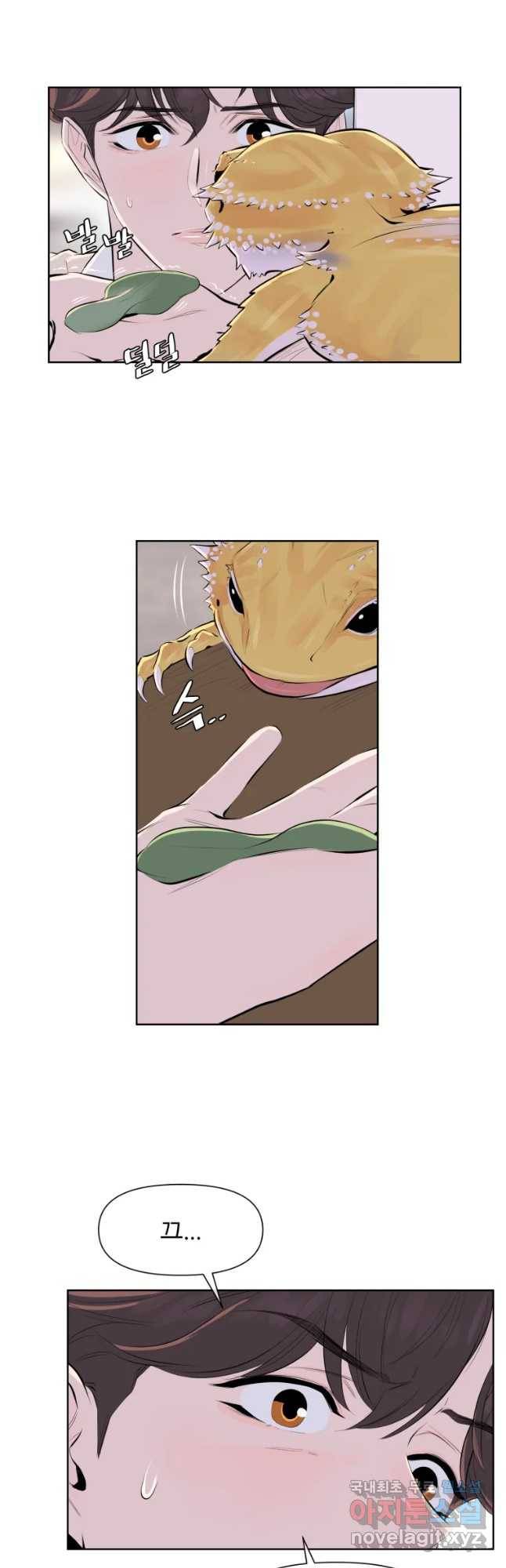 케어시트 41화 사육셋팅 17