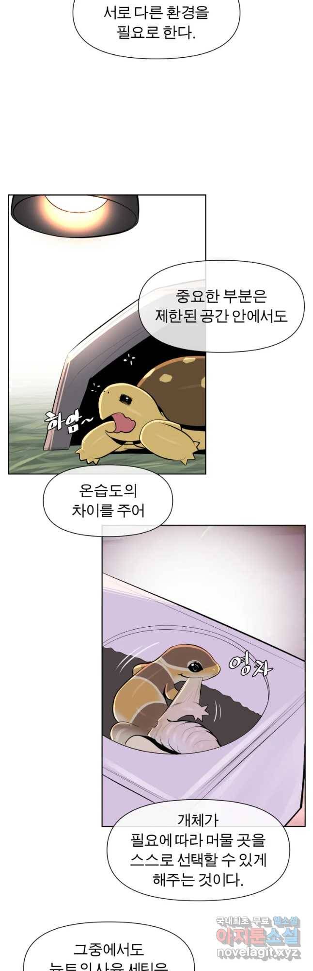 케어시트 41화 사육셋팅 24