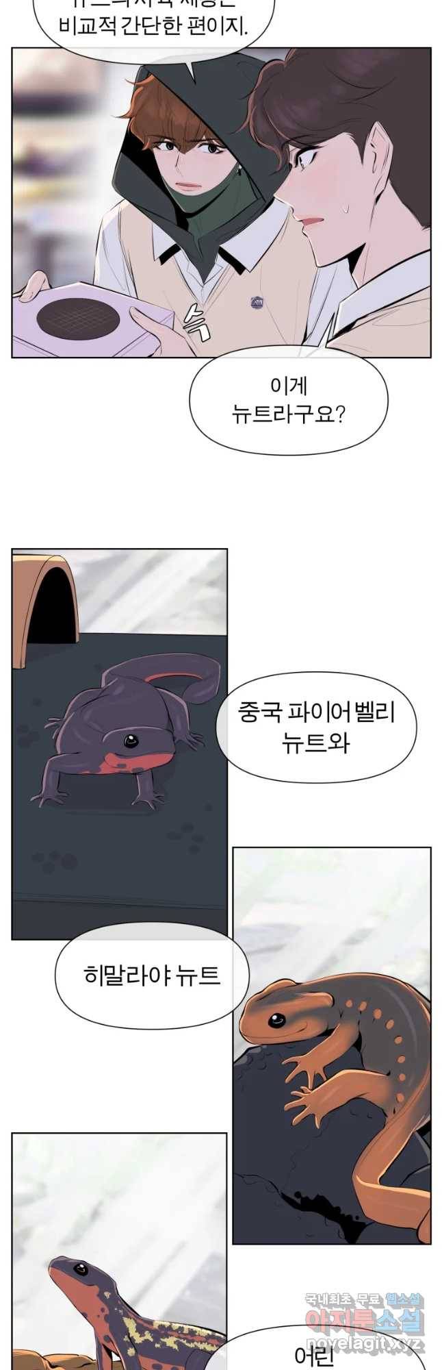 케어시트 41화 사육셋팅 25