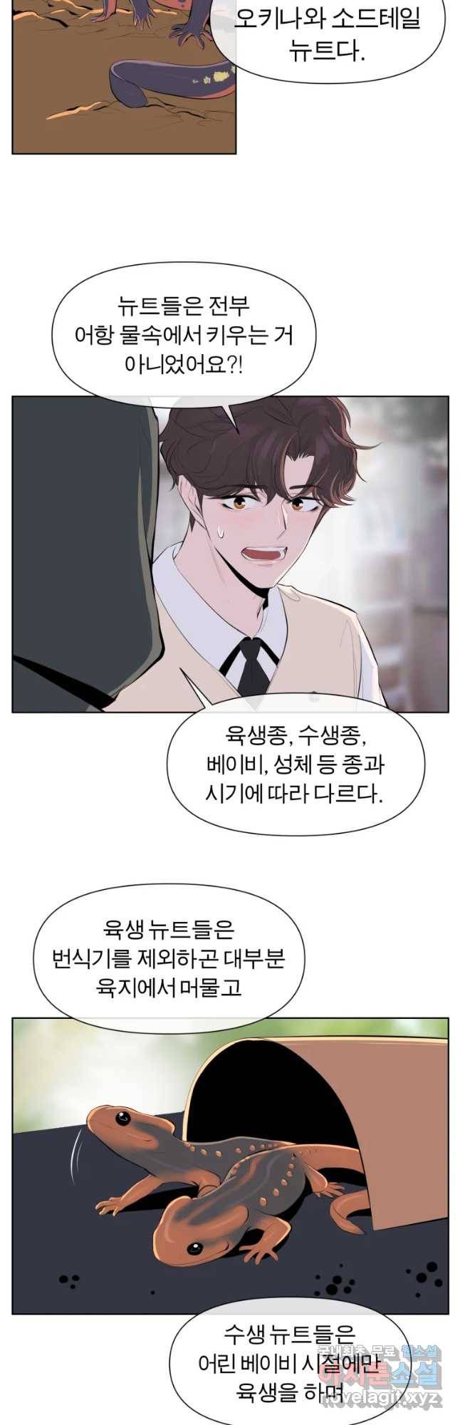 케어시트 41화 사육셋팅 26