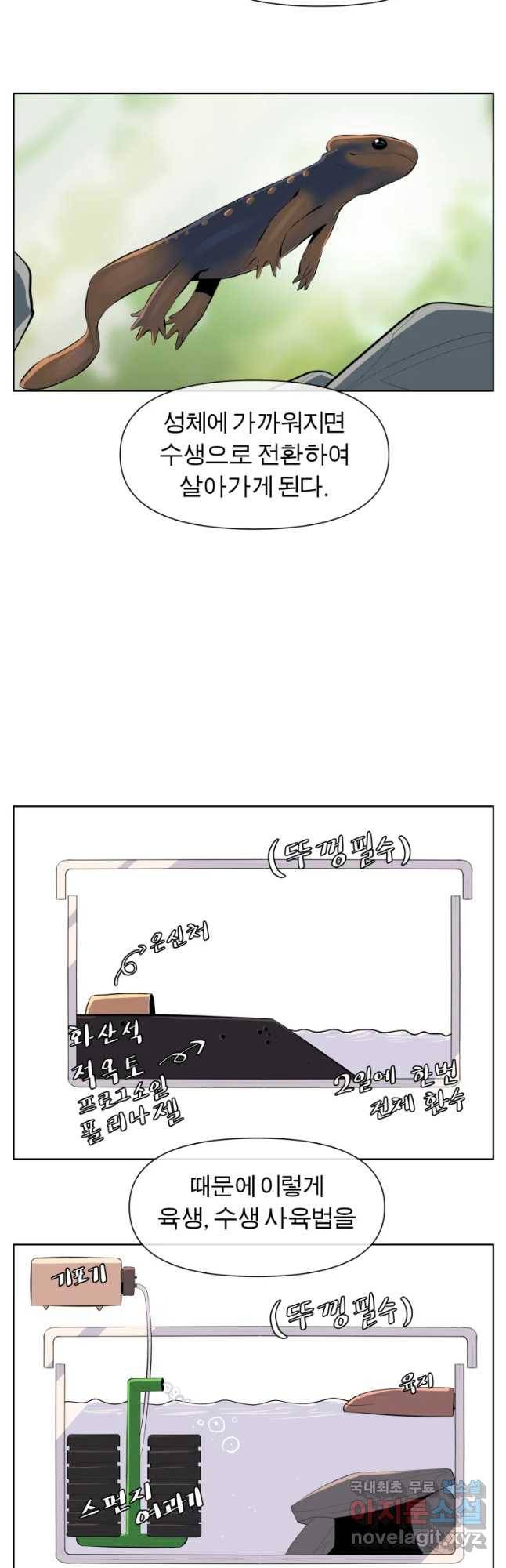 케어시트 41화 사육셋팅 27