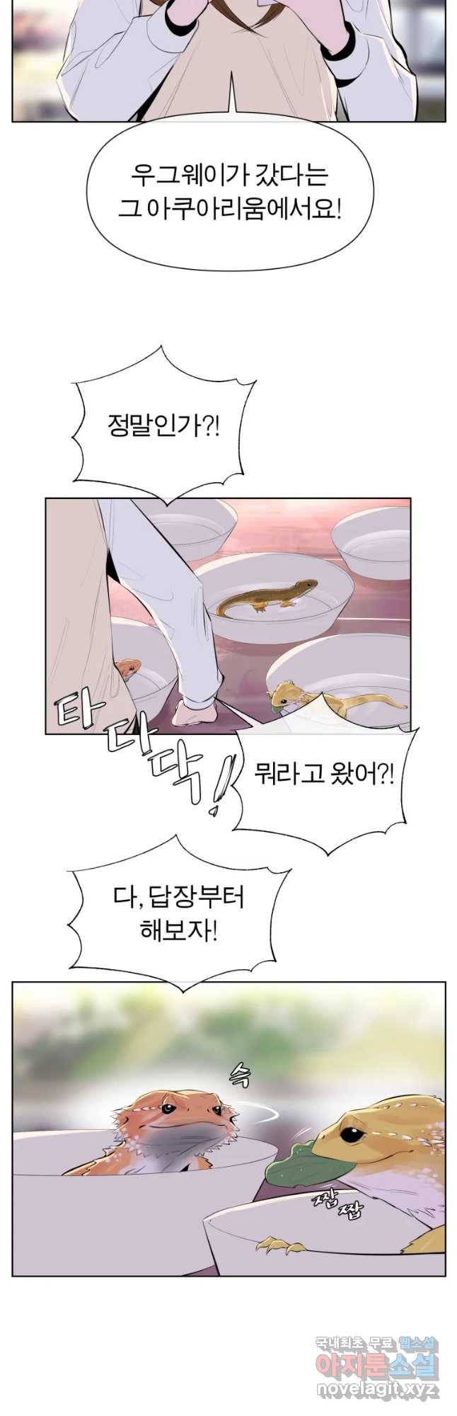 케어시트 41화 사육셋팅 34