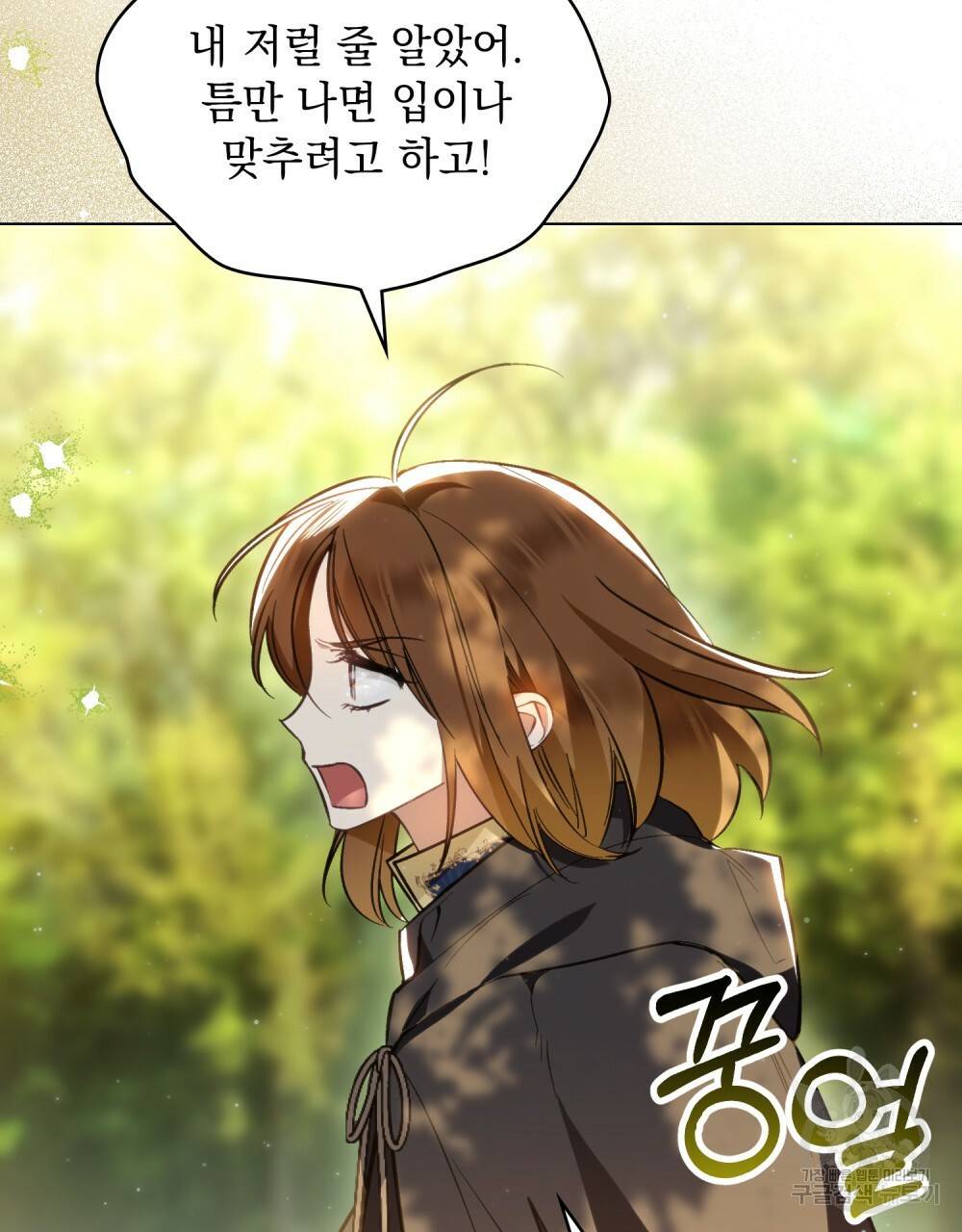 에반젤린의 검 23화 5