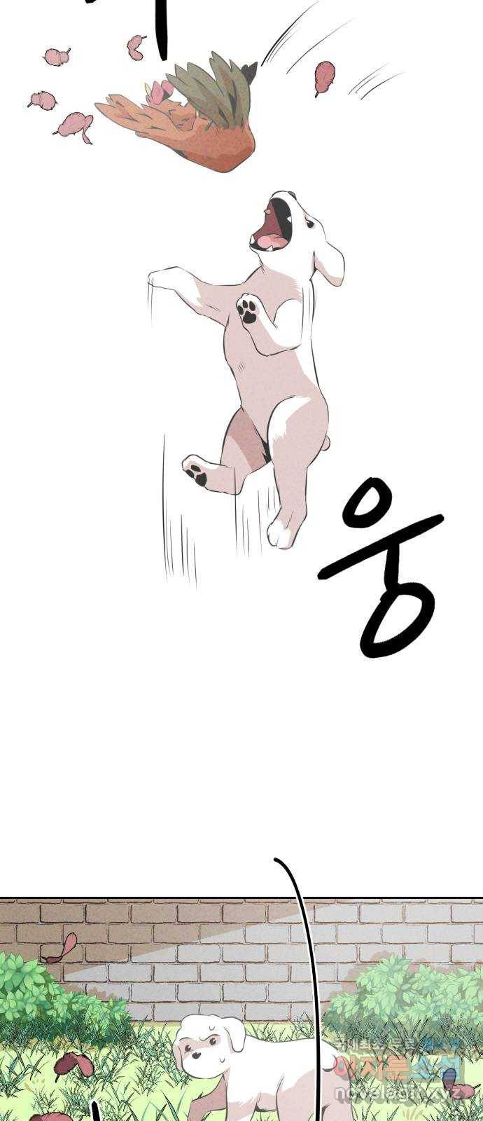 개와 사람의 시간 10화 46