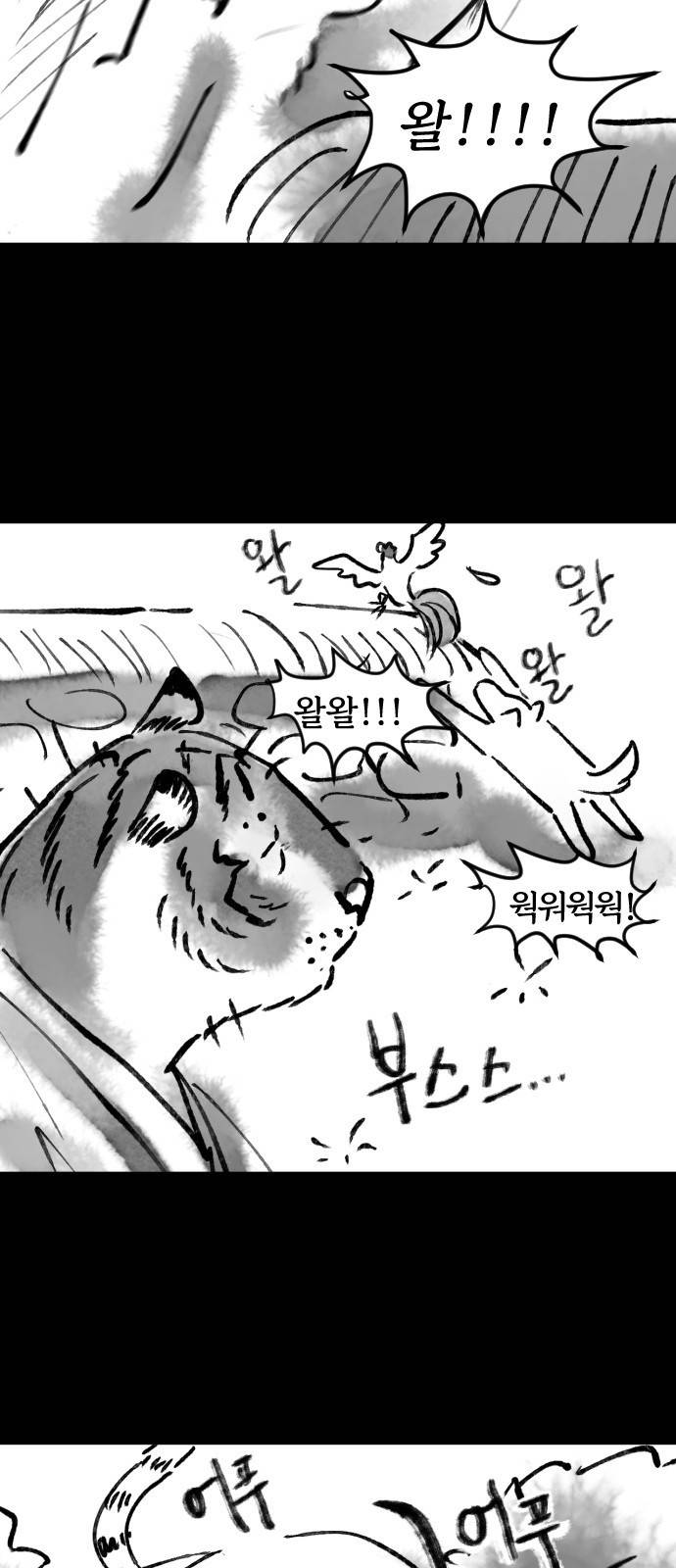호랑신랑뎐 17화 3