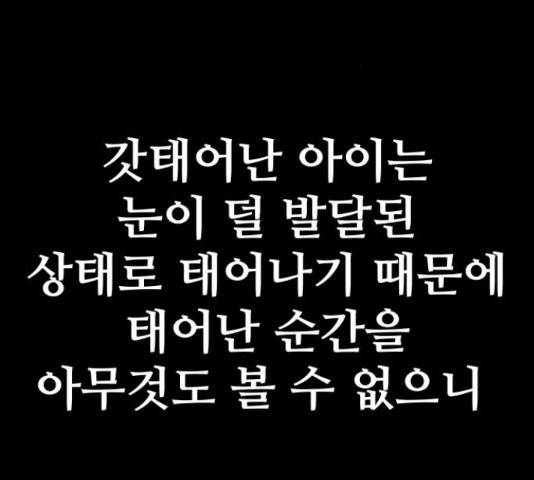 말박왕 50화 2