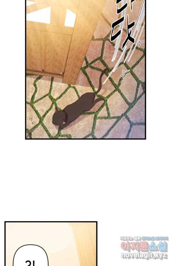 마법사를 위한 동화 40화 2