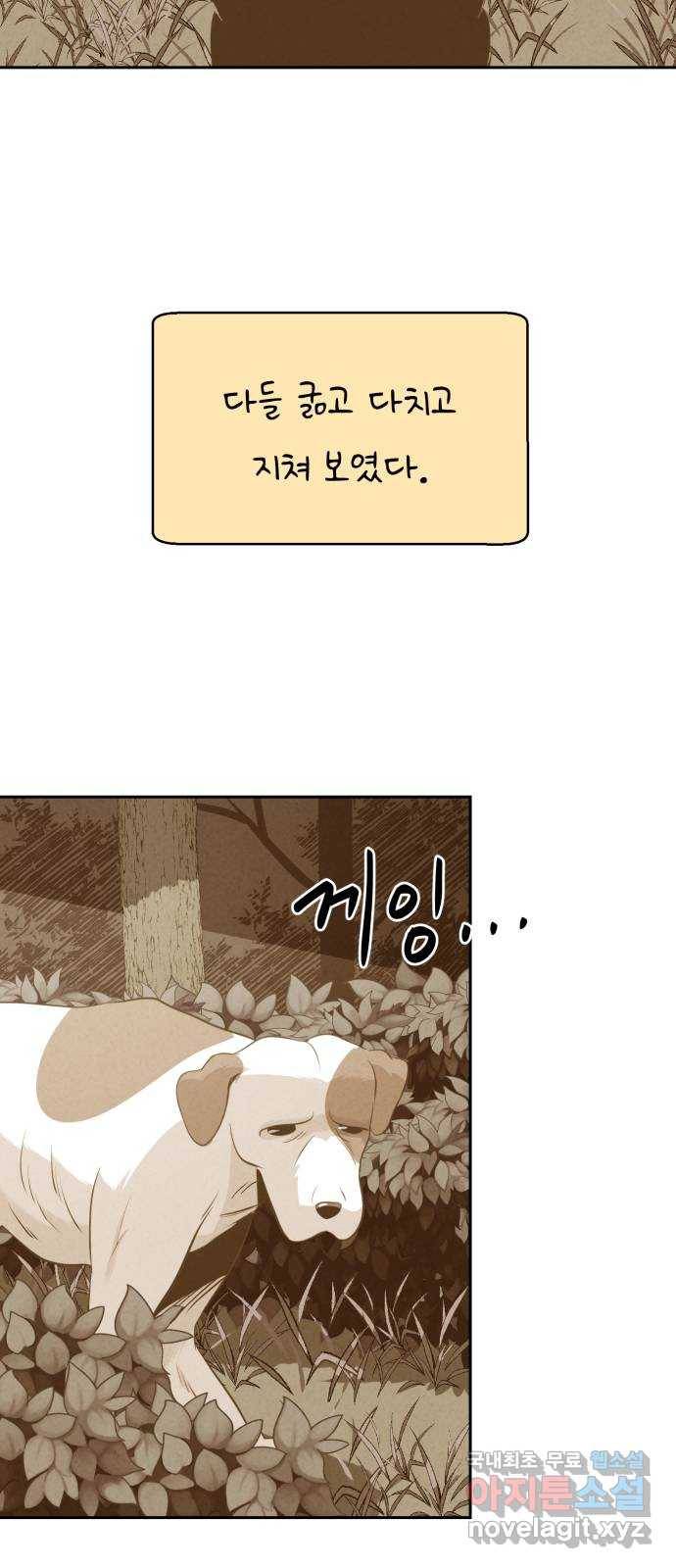 개와 사람의 시간 12화 52