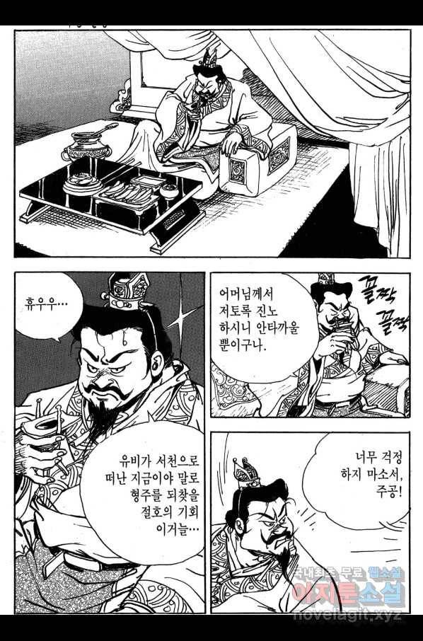 박봉성 삼국지 3부 29권 33