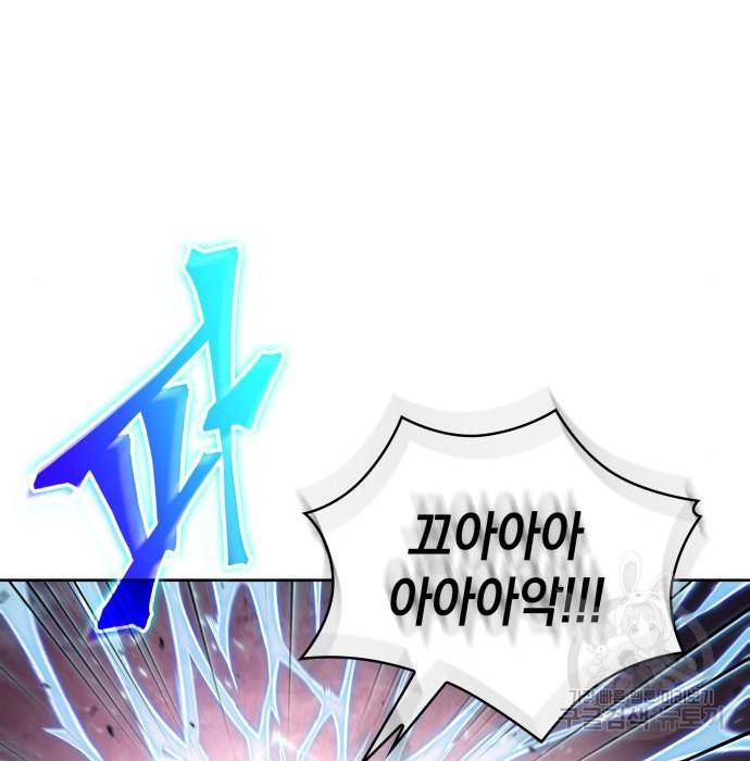나노마신 117화 25