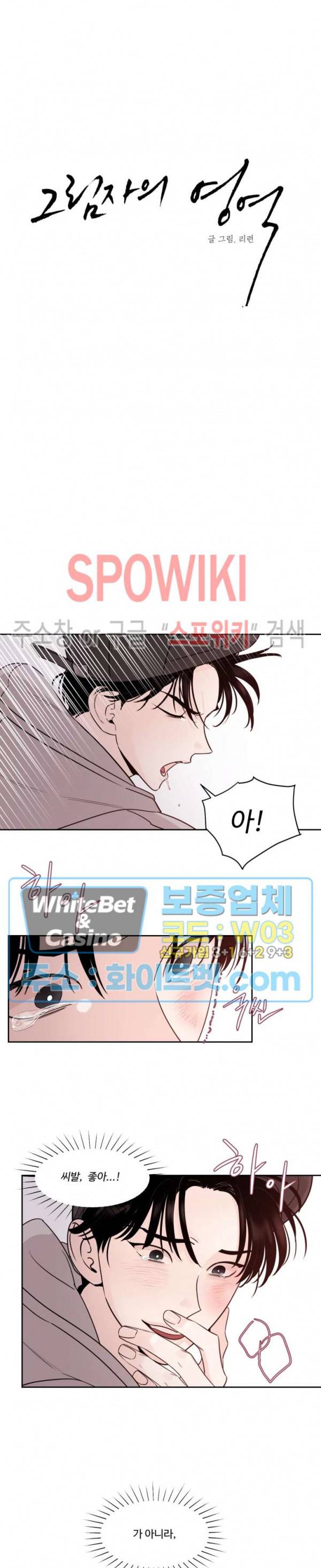 그림자의 영역 9화 4