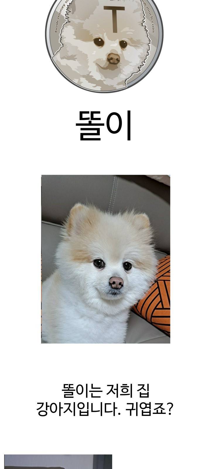 존망코인 후기 39