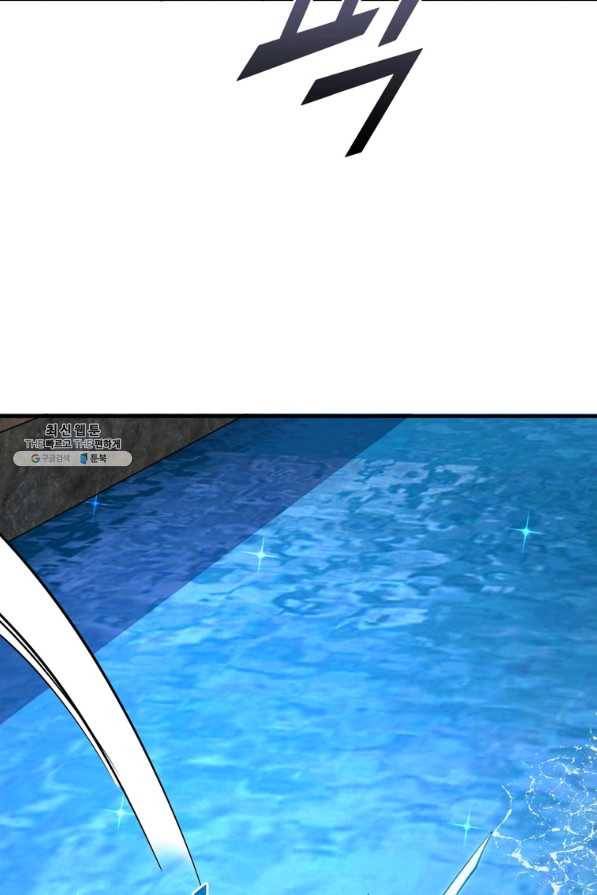 링 오브 가디언 246화 62