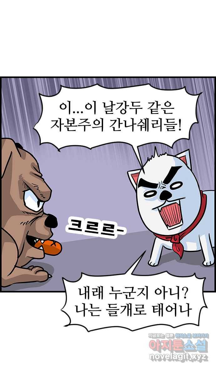 쿠쿠쿠쿠 10화 은밀하개 위대하개 11