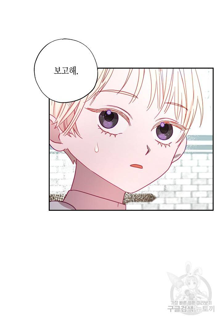 흑막 남편과의 이혼에 실패한 것 같다 5화 8